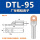 DTL-95(厂标)10只