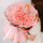 52朵粉玫瑰花束—相伴