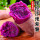紫薯 3斤 小果(单果50-100g