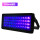 黑色固化灯 (手提)50W-395nm 蓝紫色