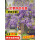 普罗旺斯紫藤1棵/粗1cm长50-80cm