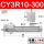 CY3R10-300