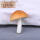 褐色蘑菇-中号