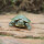 2-3厘米绿色宠物龟