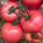 寿禾粉冠番茄种子 100粒原装