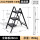 碳钢三步梯典雅黑—DL509003
