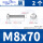 M8*70(2只)