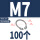 M7 (100个)304