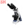 BM-57XB双目偏光显微镜