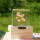 红雏菊标本带木盒