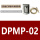 DPMP-02