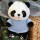 熊猫 蓝毛衣