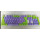 紫绿PBT透光键帽大写空格不兼容