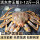 活冻蟹4.6斤(4.6~5斤一只)