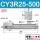 CY3R25-500