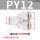 PY12白