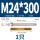 M24*300(316)(1个)