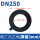 DN250(厚度3mm)