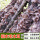 毛木耳菇木头种-4袋可种1200斤