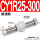 CY1R25-300