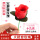 【25ml油】+5支红色玫瑰