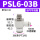 PSL6-03B