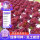 5克紫叶生菜约15000粒