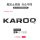 KAROQ-亮黑-替换款
