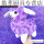 25-厘-米紫-色铃铛羊的