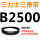 B2500 Li