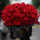 99朵红玫瑰抱抱桶