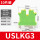 USLKG3(10片)