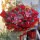 韩式红玫瑰百合混搭花束