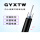 GYXTW-10芯5.6