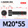 M20*55全(15支)