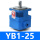 YB1-25