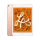 64GB iPad mini5【金色】 官方标配+
