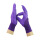右手带紫色爪手套（紫色*22cm*绿色紫色咖啡色