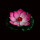 10个粉色【18CM】双层花瓣带纹路带荷