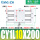 CDY1L10200