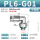 PL6-01G(304)