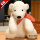 软萌北极熊（红围巾款）  45cm