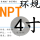 环规 NPT4