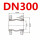 DN300国标