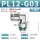 PL12-G03