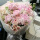 粉玫瑰芍药韩式花束
