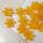 多彩幸福花-桔黄+1个南瓜花瓶