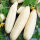 白玉黄瓜种子100粒+肥