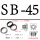 SB-45（20个）