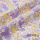 紫叶黄莓半米可定制加工